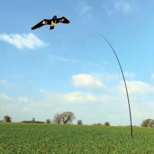 Keep Your Space Clean with Bird Repellent Kites