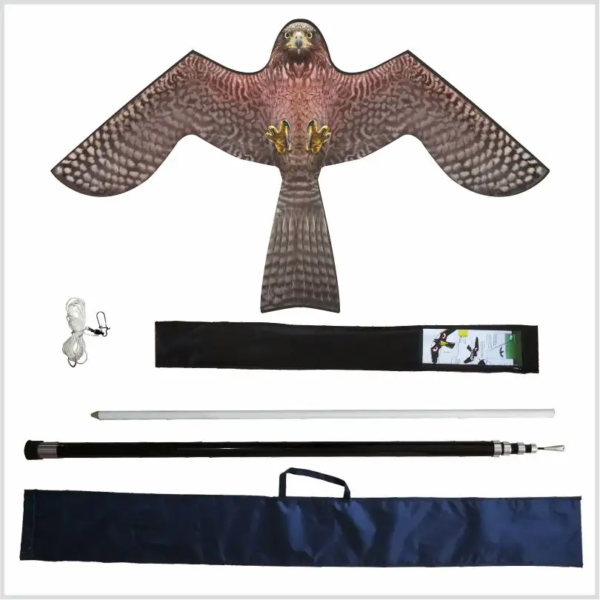 eagle kite with 4m pole