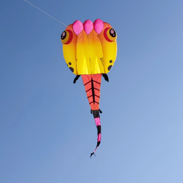 gold-nylon-tadpole-kite