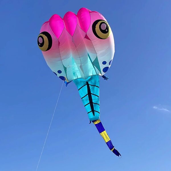 matte-color-inflatable-tadpol-kite