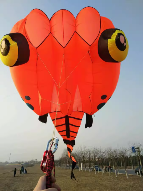 orange-huge-tadpole-kite