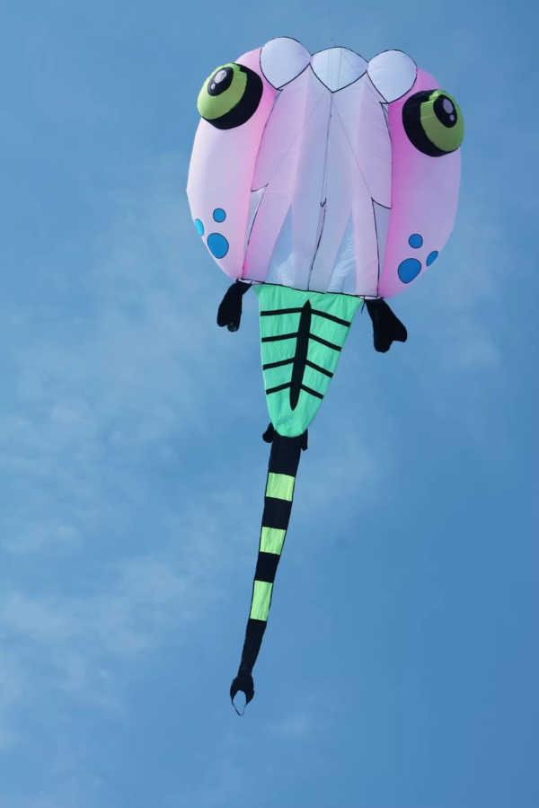 pink-tadpole-nylon-kite