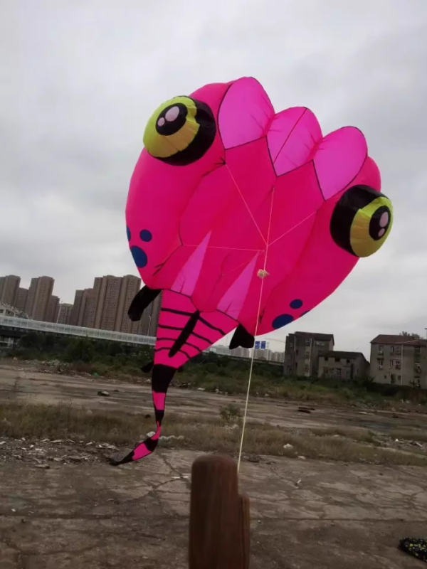 rose-red-big-tadpole-kite-for-adults