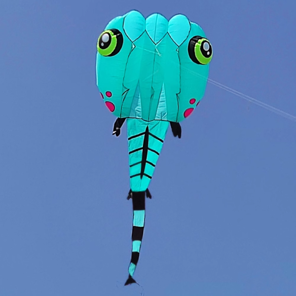 tadpole-kite