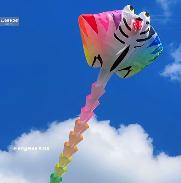 21m-ray-nylon-kite
