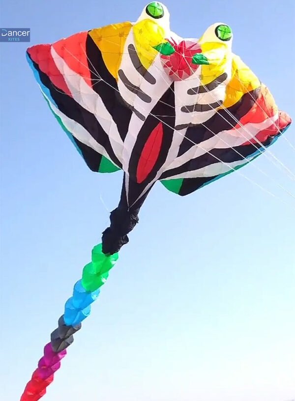 Large-30d-nylon-kite