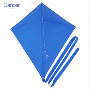 blue diamond kite with tail