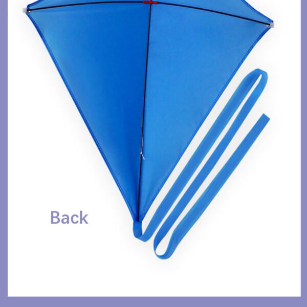 blue solid kite back