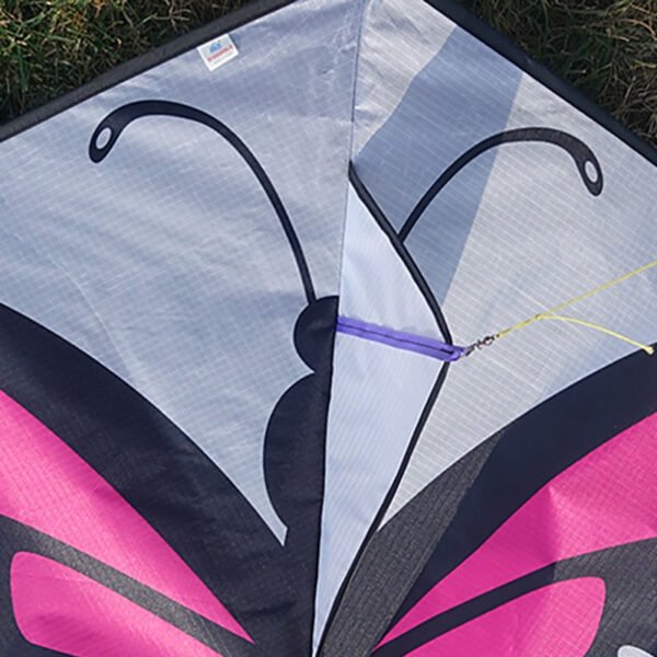 butterfly kite details