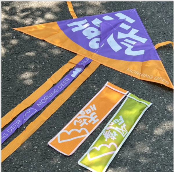 custom delta kites