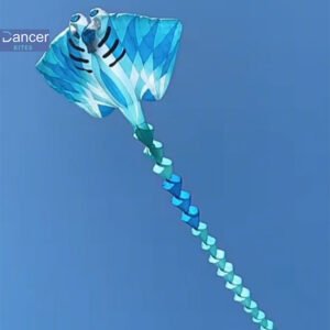 new-color-high-quality-nylon-manta-kite