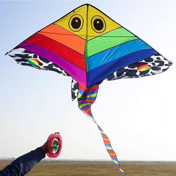 rainbow fish kite flying