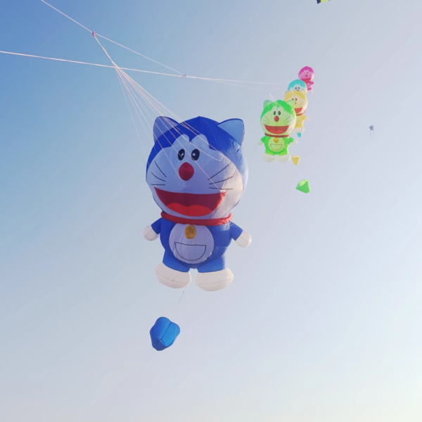 blue cat nylon kite
