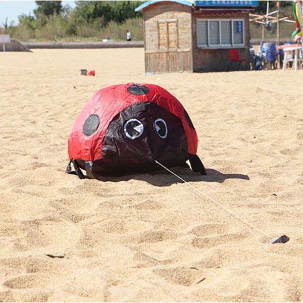 ladybug kite
