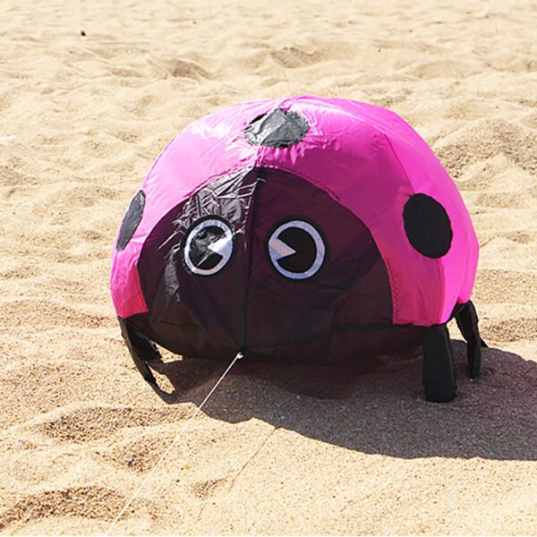 ladybug on the ground