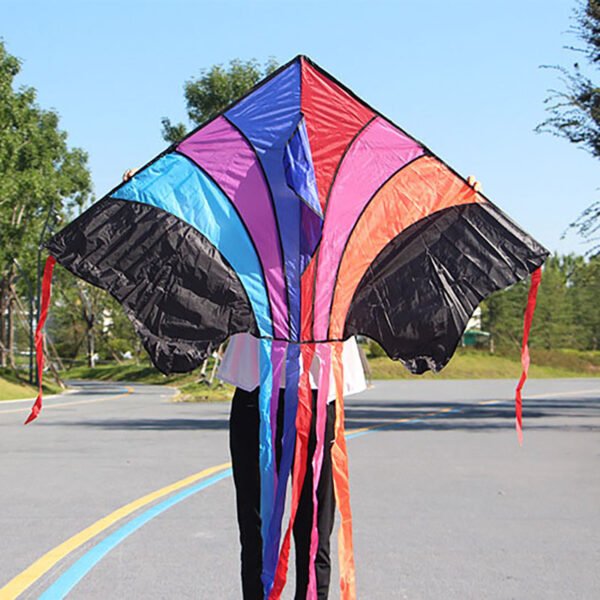 outdoor sport funny rainbow delta kite with long tails - Image 5