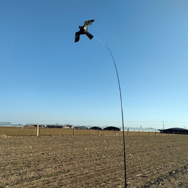 kite bird-control