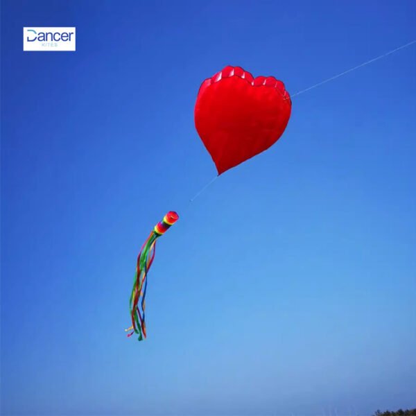 heard-kite-for-coupl