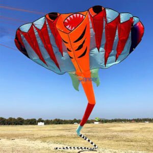 huge-kite-with-long-tail