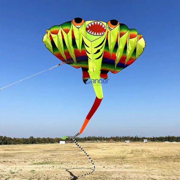 kite-flying