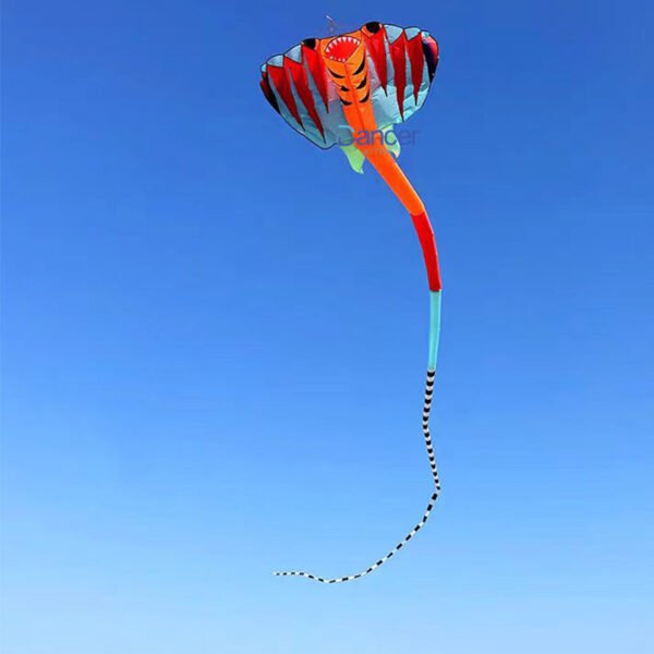 new-kite-with-long-tail