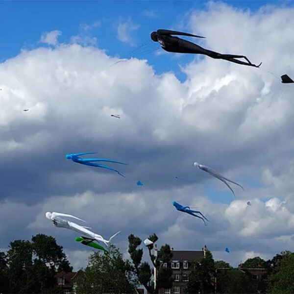 13m-nylon-spirit-ghost-kite