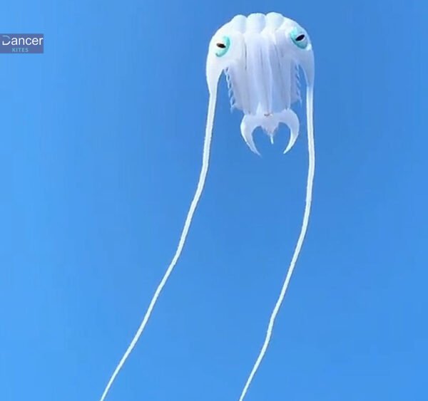 16sqm-white-trilobite-kite