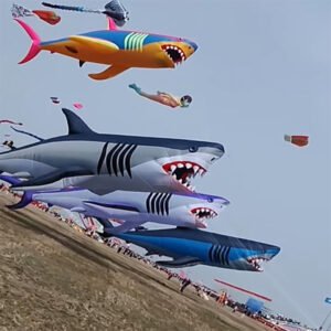 18m-huge-40D-nylon-shark-kite