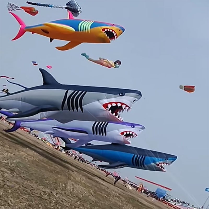 18m-huge-40D-nylon-shark-kite
