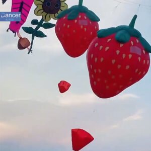3.5m-soft-strawberry-kite-for-sale