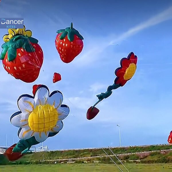 5m-huge-soft-strawberry-kite