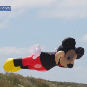 Mickey Mouse kite line laundry