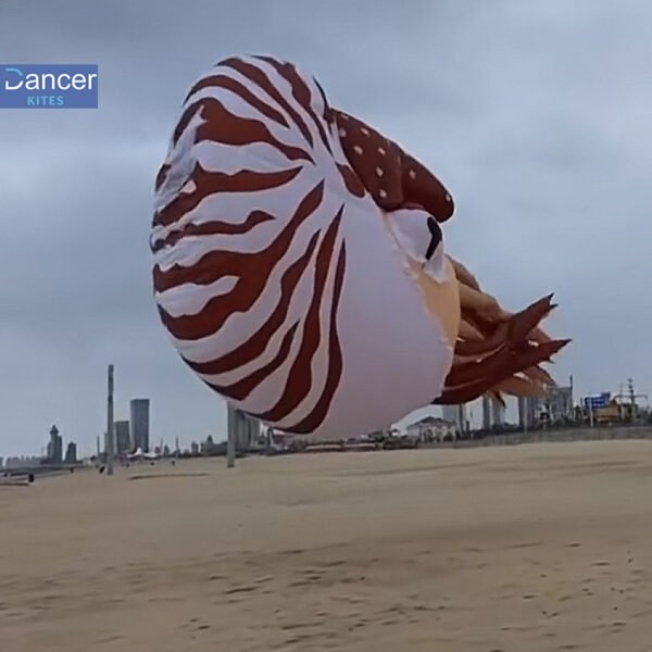 Nautilus kite line laundry