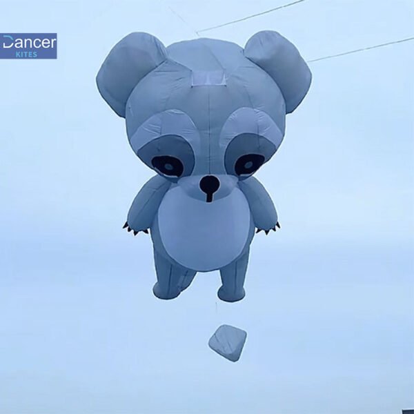 customize-huge-roccoon-kite