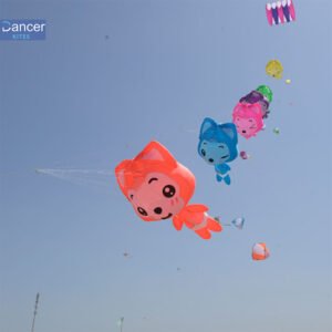 cute-cartoon-line-laundry-kite