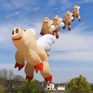 flying-pig-kite-line-laundry-kite