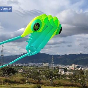 huge-ripstop-nylon-kite-for-adults