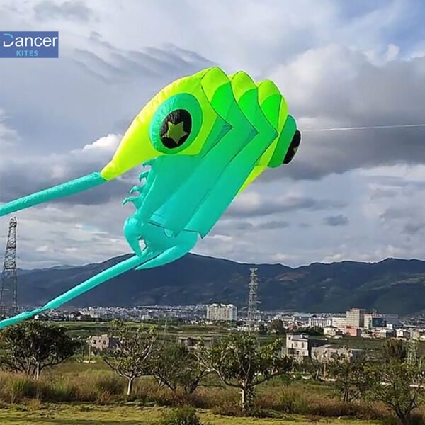 huge-ripstop-nylon-kite-for-adults