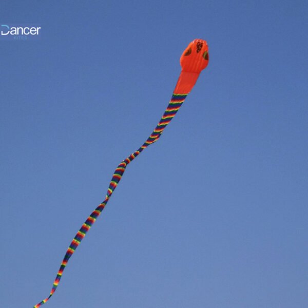 large-soft-snake-kite