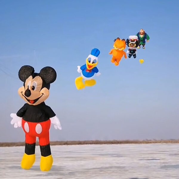 mickyhouse-kite-for-sale