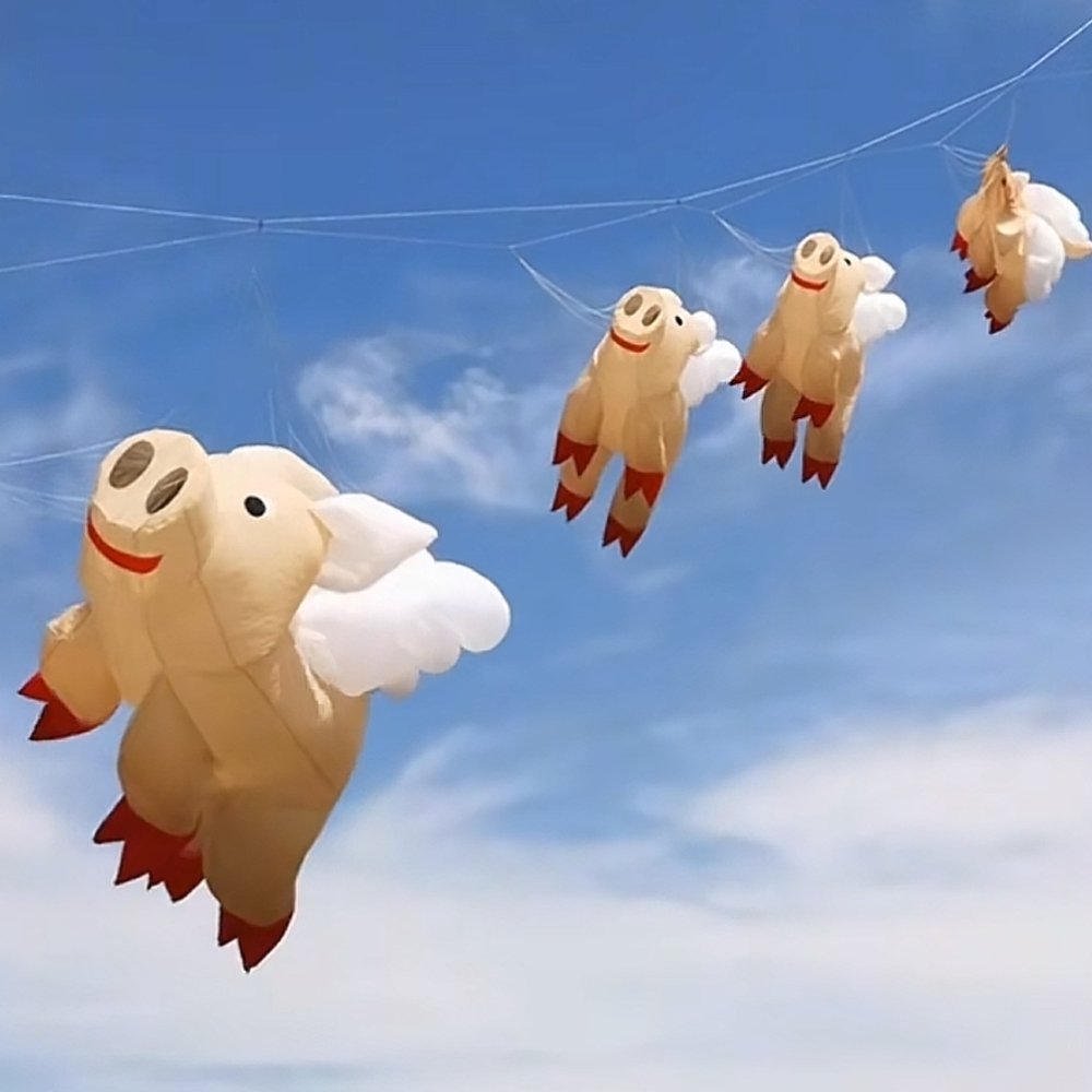 nylon-pig-kite-for-adults