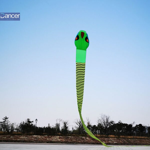 utdoor-funny-big-snake-kite