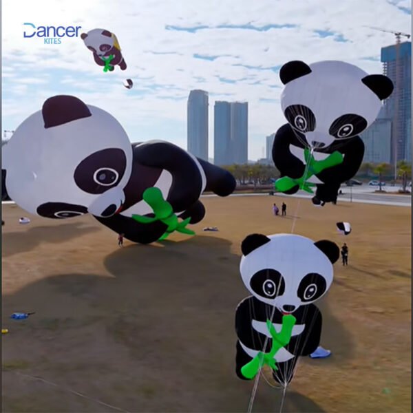 panda-kite-line-laundry