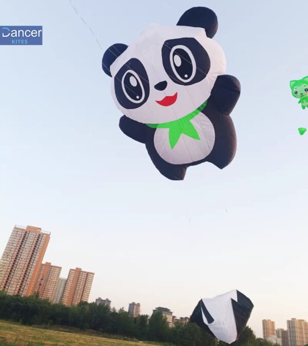 panda-nylon-kite-line-laundry
