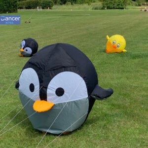 penguin-ground-kite-multicolor-