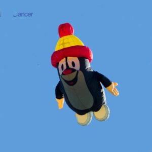 penguin-kite-with-red-hat