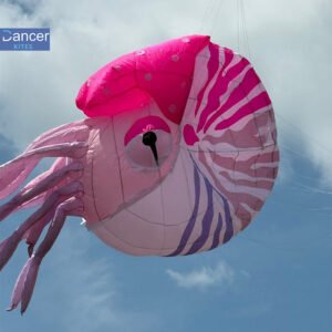 pink-Nautilus-kite-pendant