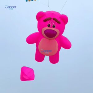 pink-strawberry-bear-kite