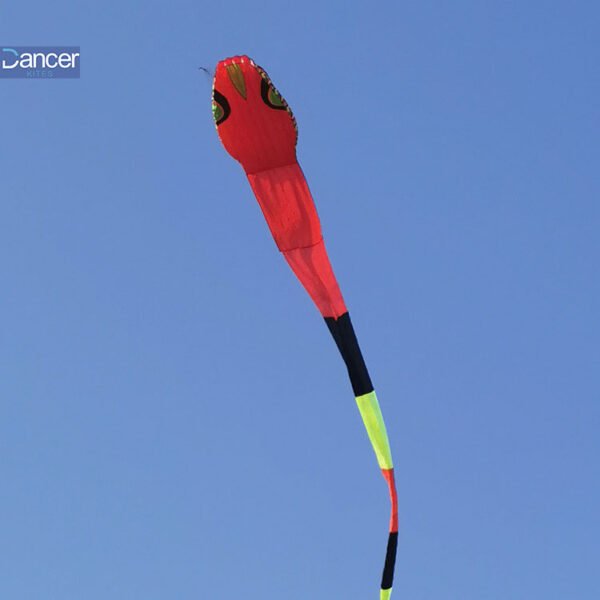 red-large-snake-kite
