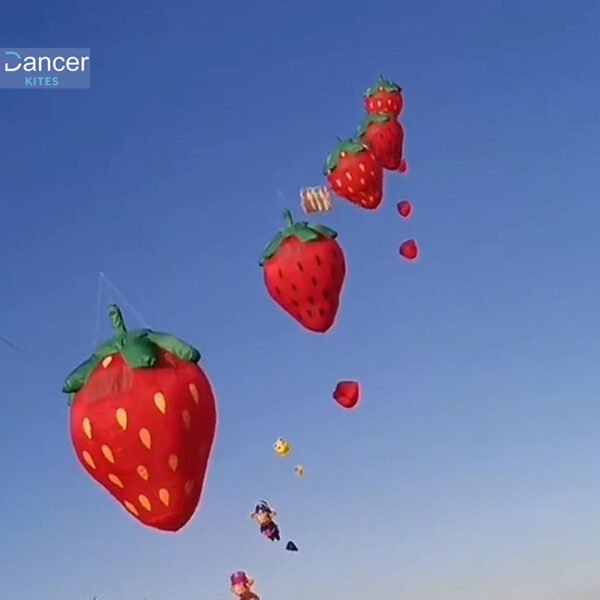 strawberry-kite-line-laundry